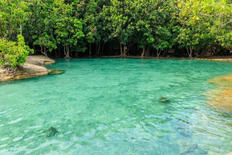 Emerald Pool, Krabi, Tailand